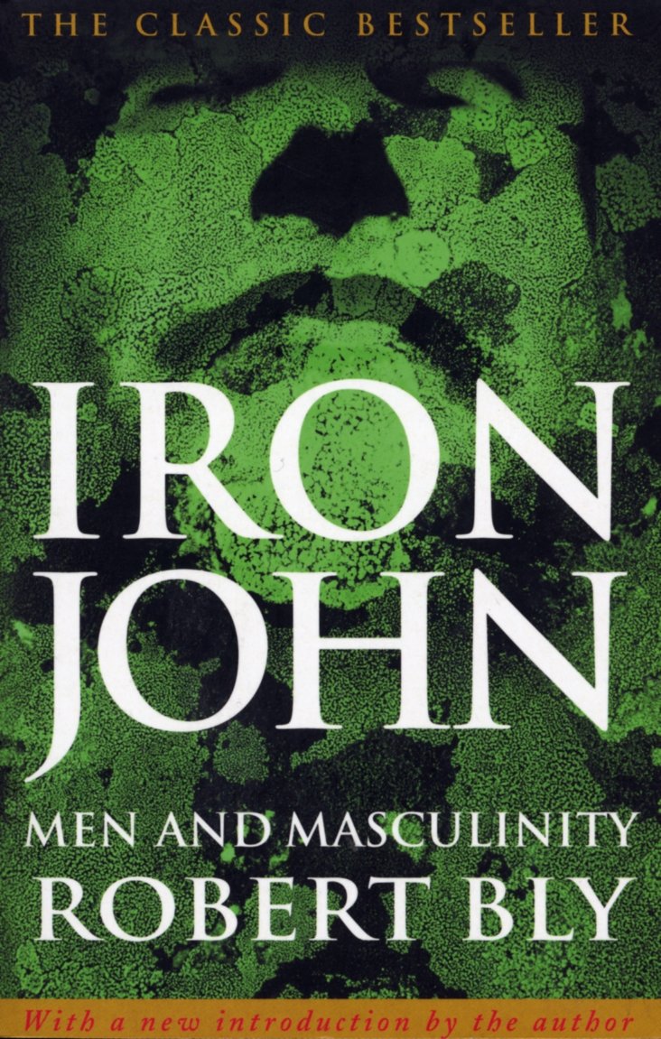 Robert Bly - Iron John - Paperback Book - Society & Politics