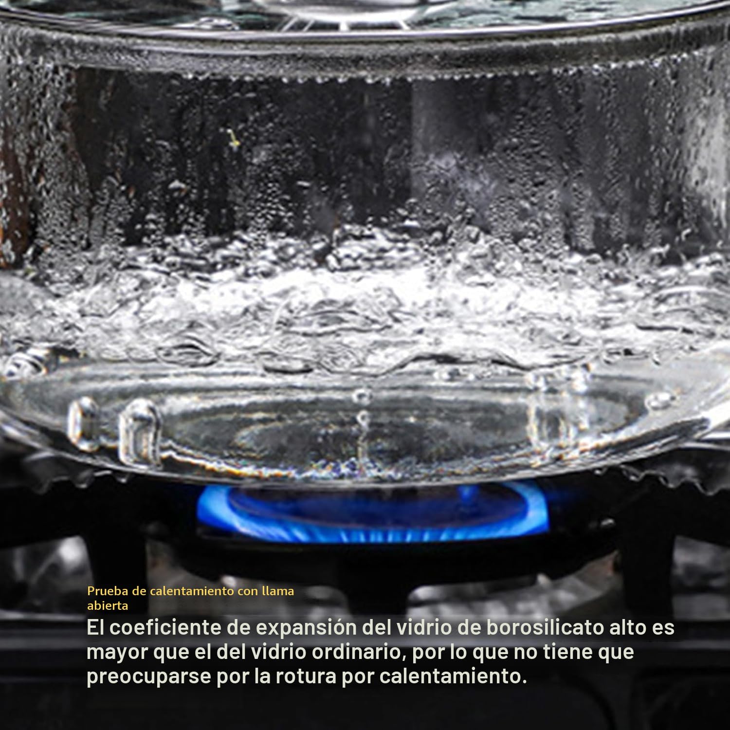 5.5L Olla de Cristal para Cocinar - Ollas de Vidrio Transparente con Tapa Resistente al Calor Utensilios de Cocina para a Fuego Lento con Asas de Acero Inoxidable para Pasta Fideos, Sopa, Leche