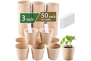3T GROUP 3" 50 Pack Compostable Small Planters for Kids