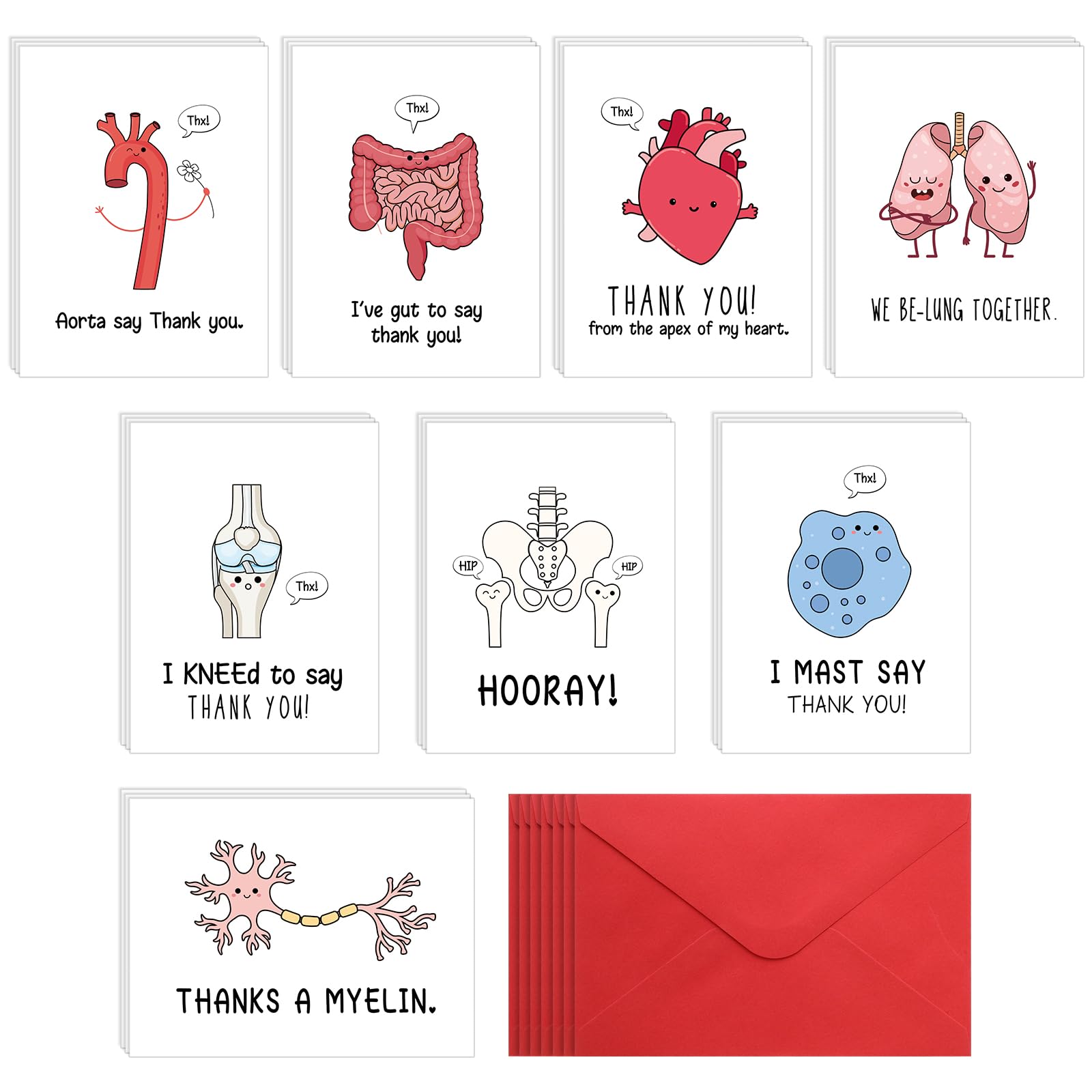 24 Sets Funny Nurse Thank You Cards Nurse Pun Appreciation Cards with Envelopes for Hospital Doctors Healthcare Workers Essential Party Favor(Human Organs)
