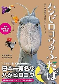 ♡ハシビロコウ♡さま専用ページ ハシビロコウのふたば～掛川花鳥園の仲間たちといっしょ～ | 南幅 俊輔