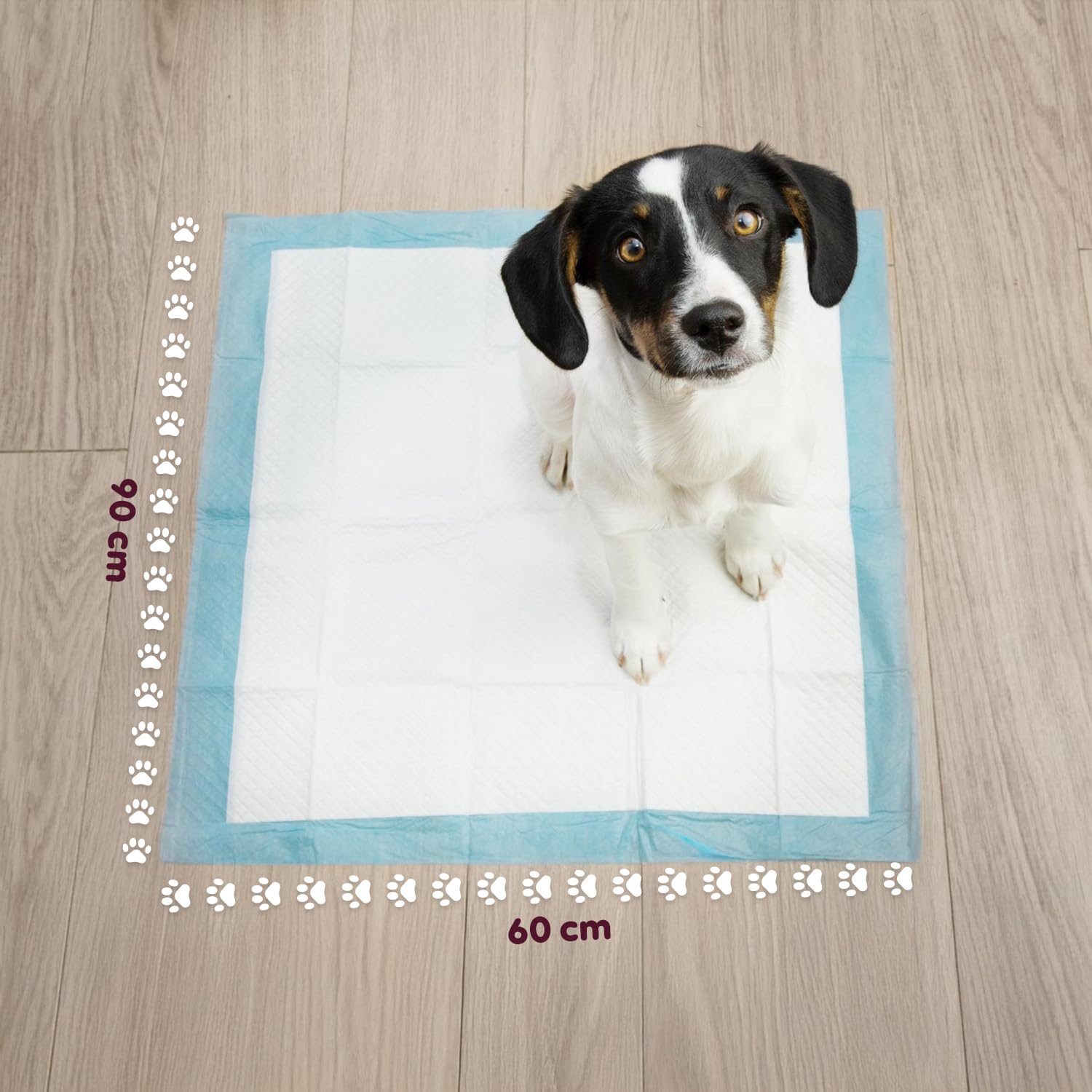 Avilia – Set Traversine Cani con Adesivi Anti-Odore, Assorbenza SAP Potenziata, Uso per Addestramento e Supporto Igienico Domestico, Dermatologicamente Sicure (150, Essential 60x90 cm)