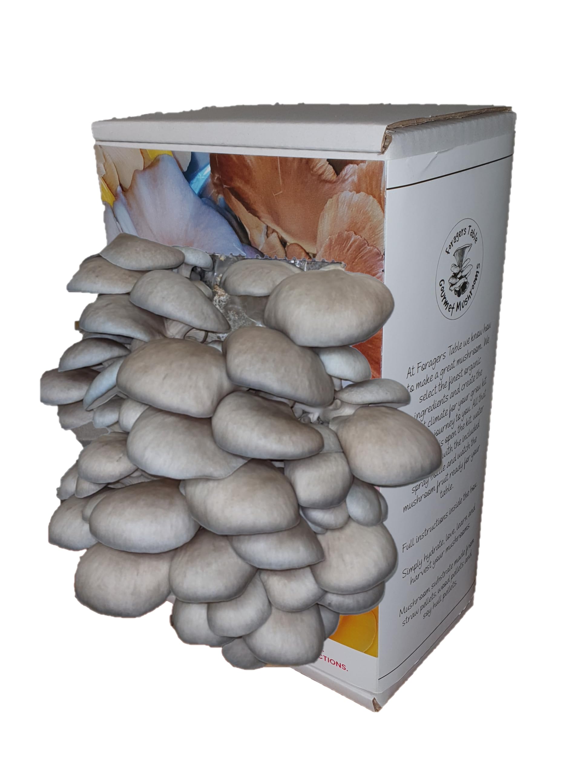 Blue Oyster Mushroom Growing Kit | Gardening Gifts - Ready to Grow Mushrooms Kit | Fun to Grow & Delicious to Eat |Blue Oyster Grow Kit | Grow Your Own Kits - Mushroom Gifts | Foragers Table