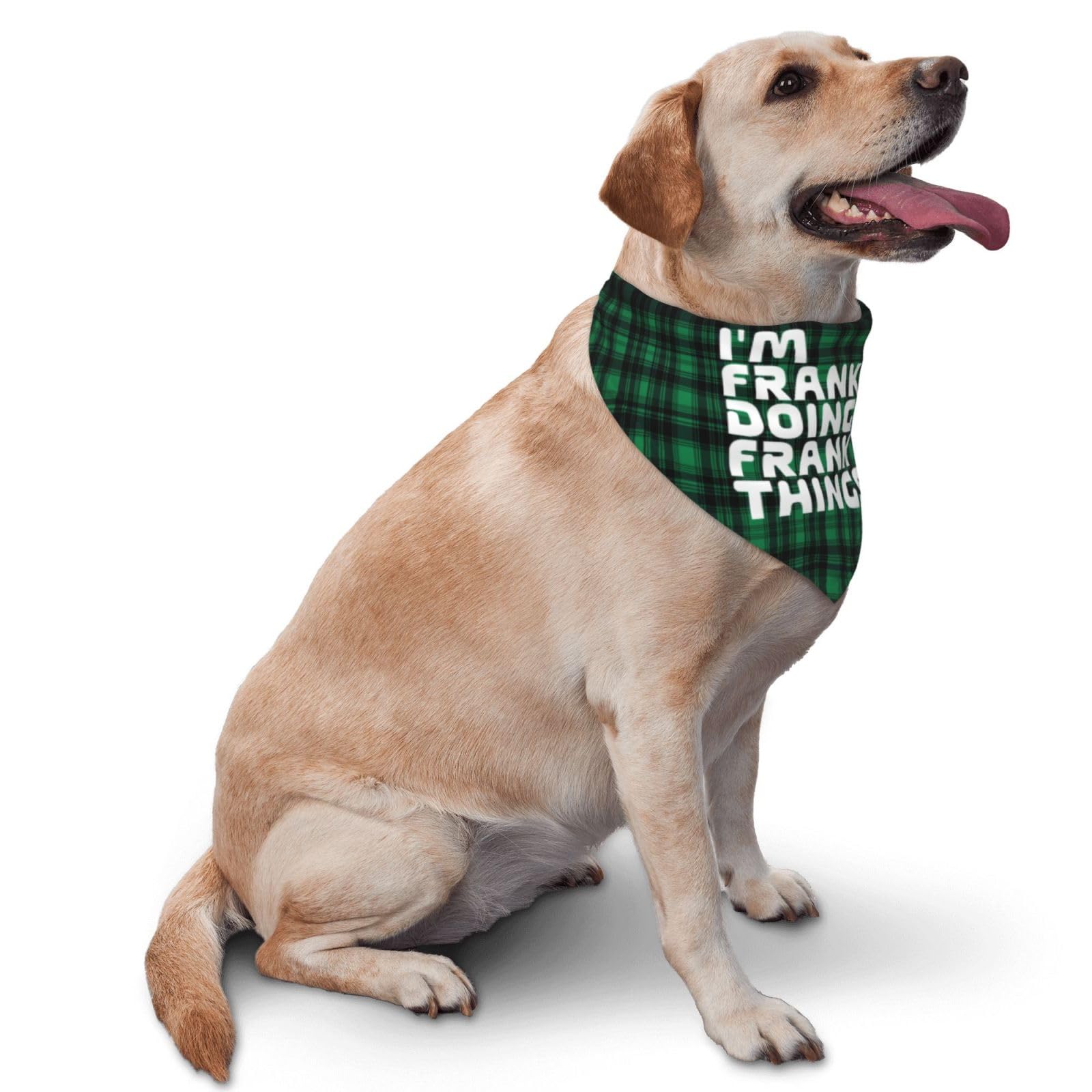 I'm Frank Doing Frank Things Dog Scarf Pet Bandana Cat Pet Bibs