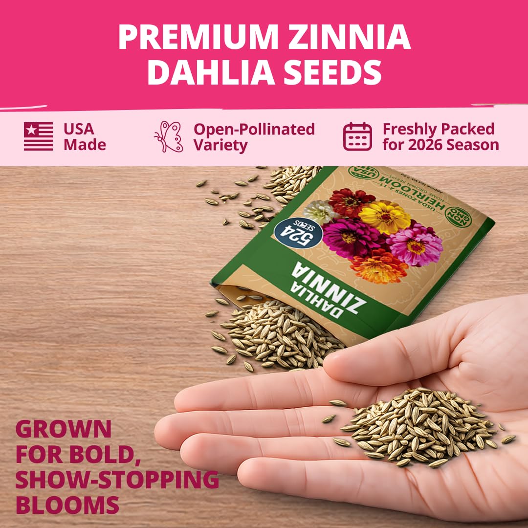 524 Seeds Zinnia elegans Y407