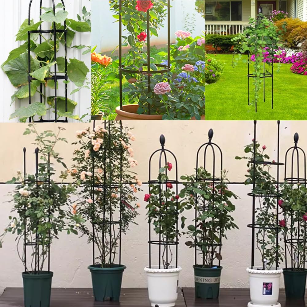 Tomatenkäfig | Großes Pflanzen Rankhilfe | Rankhilfe Obelisk Metal | Pflanzenstütze Obelisk Klettergerüst Spalier| Rankhilfe for Rosen, Kletterpflanzen| Pflanzen,Tomaten,Rosen, Schwarz(31.7x115cm/12.5