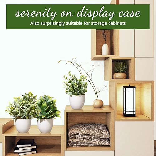 Miniatura 3 de XunYee Pequeñas plantas falsas pequeñas para escritorio de oficina, plantas artificiales en maceta, decoración de plantas de plástico para