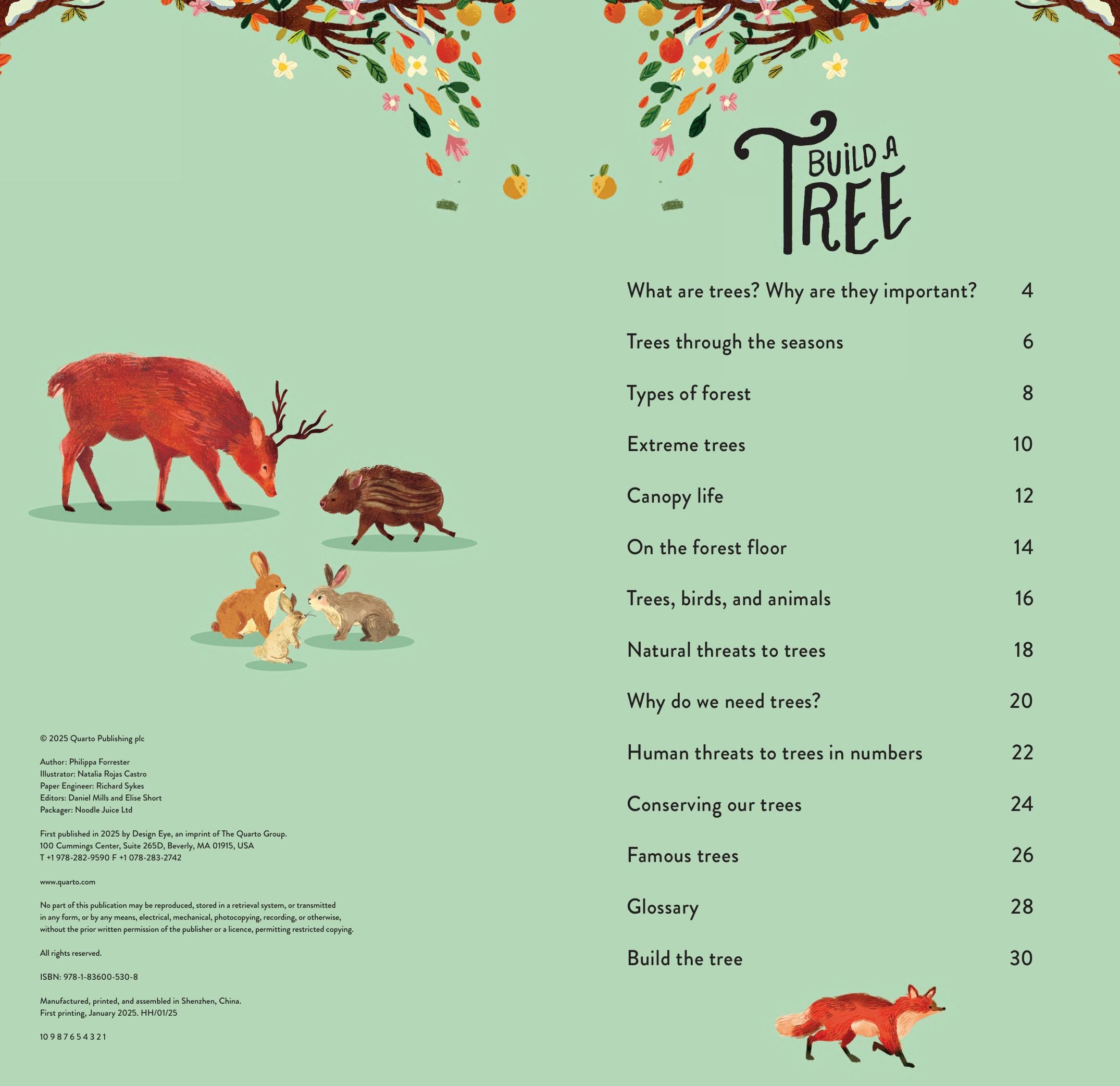 Make and Play: Build A Tree: Build a 30cm Oak Tree! Includes a 32-page Book and 40+ Model Pieces