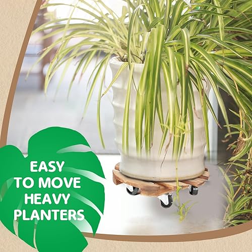 Miniatura 4 de Paquete de 2 soportes para plantas con ruedas, organizadores para plantas con ruedas deslizantes suaves bloqueables de 360, duradero, resistente,