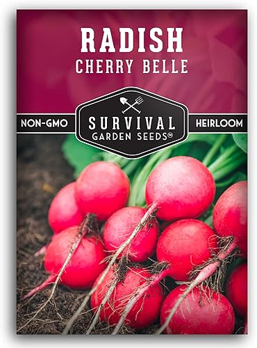 Survival Garden Seeds - Semilla de rábano Cherry Belle para plantar - 3 paquetes con instrucciones para plantar y cultivar deliciosos rábanos rojos