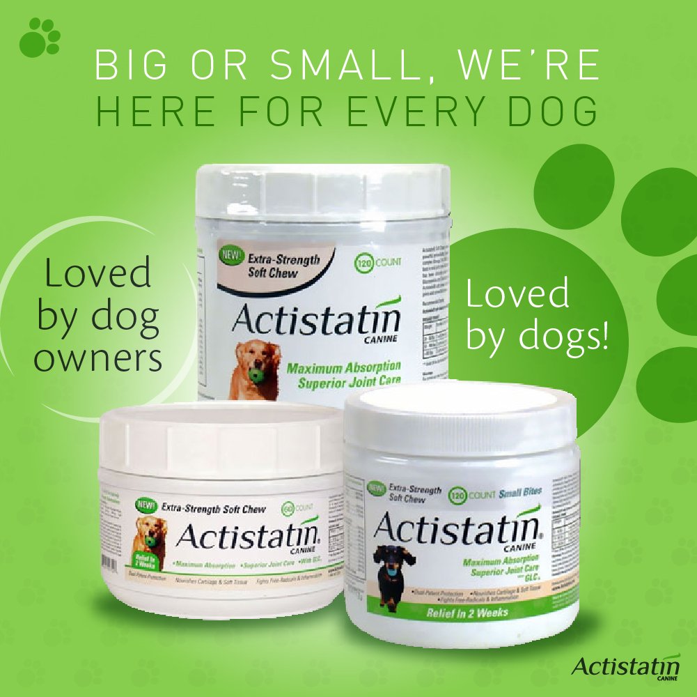 Actistatin Canine Small Dog Soft Chews, 120ct Patented ExtraStrength