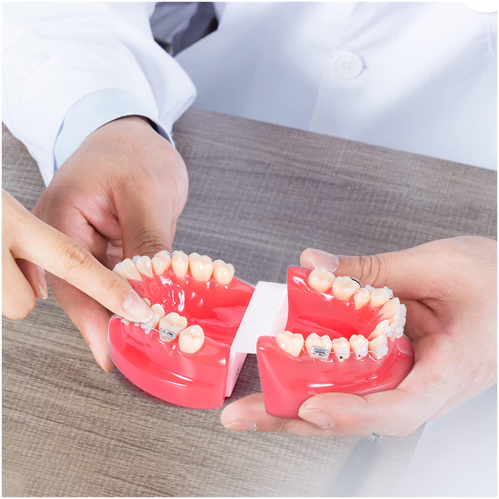 Model zębów dentystycznych-model demonstracyjny ortodoncji-dentystyczny z metalowymi wspornikami model zębów ortodontycznych do celów edukacyjnych nauka narzędzie dydaktyczne(A) (A)