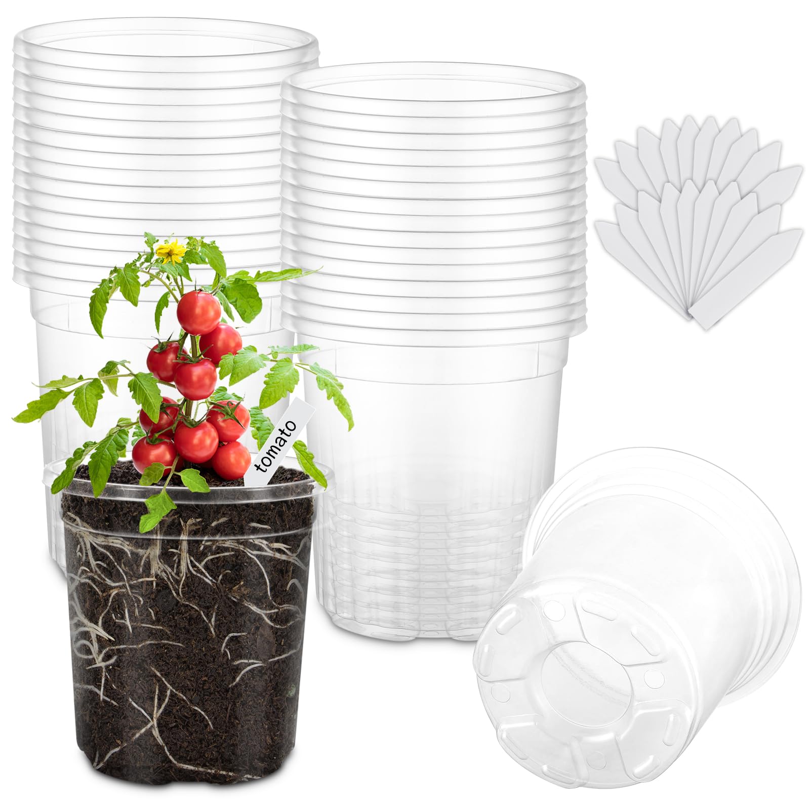 Clear Nursery Pots - 30 Pack with Labels -11
