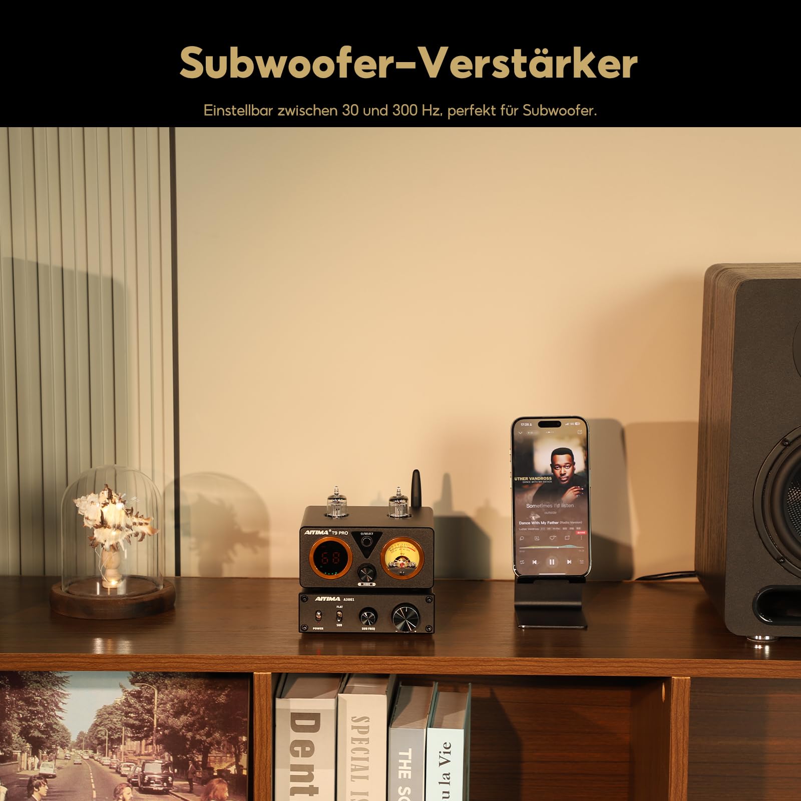 AIYIMA A3001 Mono Subwoofer Verstärker 300W TPA3255 mit Frequenzregelung | Mini-Monoblock-Verstärker FLACHE & SUB-Modi,passive Lautsprecher & aktive Sub-Ausgänge für Heimkino 2.0/2.1/2.2