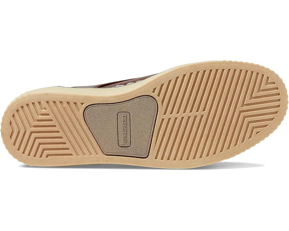 Deer Stags Oakland - Bottom View