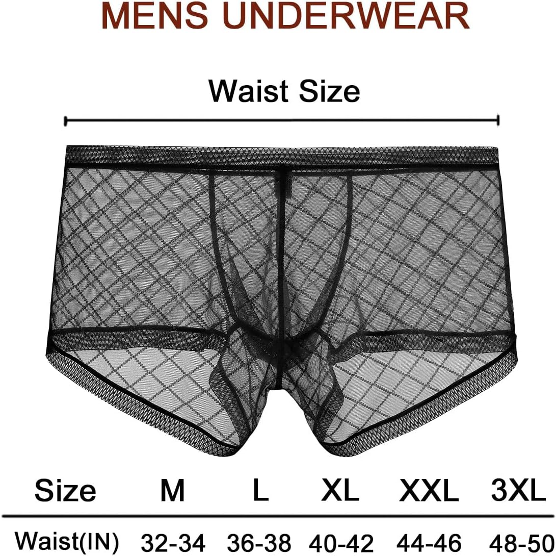 Men's Sexy Mesh Underwear Briefs See Through Sheer Boxer Briefs with Pouch - Image 6