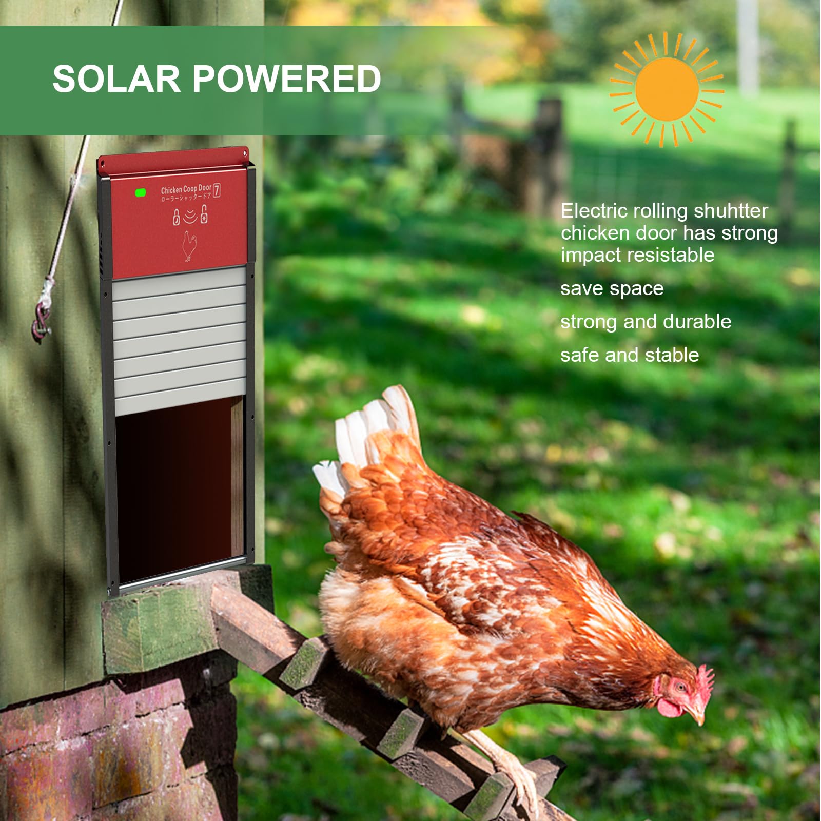 Keyzone 2023 New Aluminum Hühnerklappe Solar Rolltor, Automatische Hühnerklappe mit Lichtsensor, Timer, Verzögerungsoption, Fernbedienung, Hühnerklappe Türöffner für Sichere Hühnerhaltung