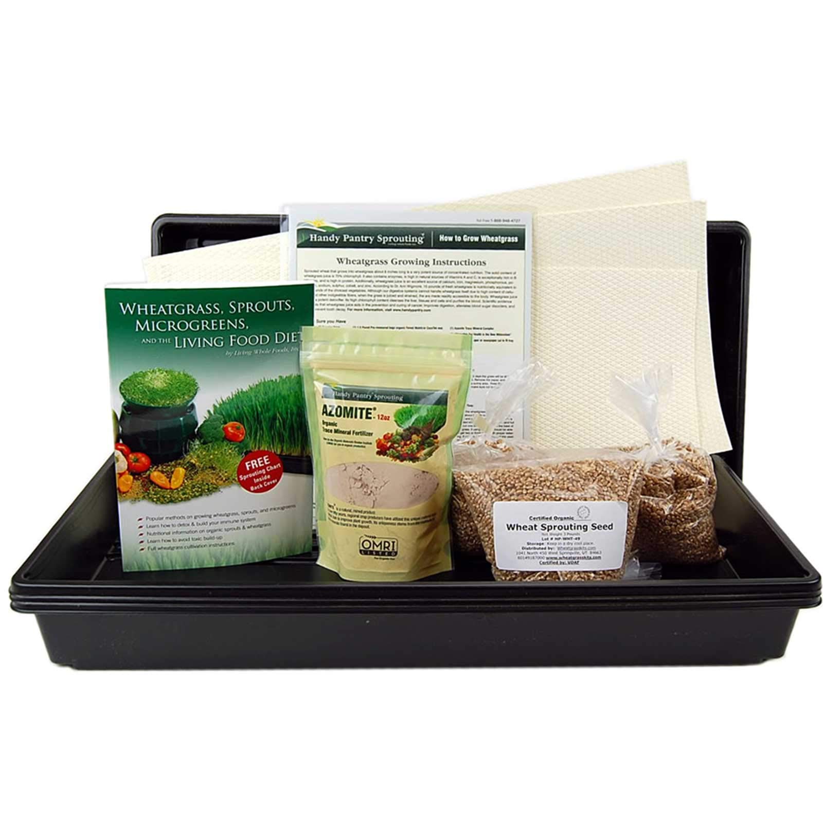 Buy Living Whole Foods Hydroponic Wheatgrass Growing Kit Grow Wheat