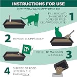 Arm & Hammer Cèdre de chat frais pour toujours, MultiCat 18lb, Animaux acceptés avec les huiles essentielles