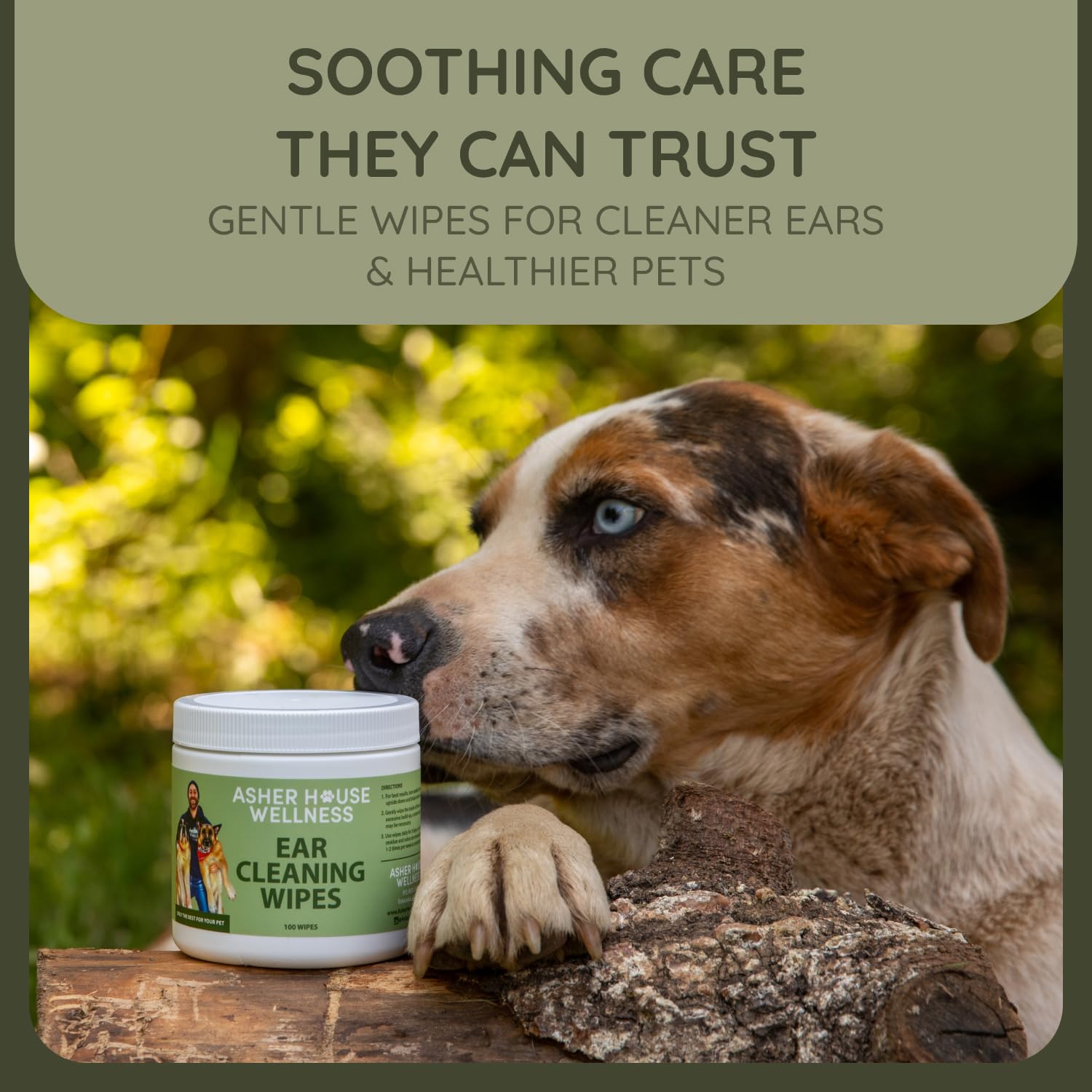 ASHER HOUSE WELLNESS Pet Ear Cleaning Wipes - Dog & Cat Plant-Based Ears Cleaner, Remove Wax & Dirt, Relieve Itch, Prevent Odor & Infection - Gentle for Pets Dogs Cats Over 12 Weeks, Made in USA - image 5