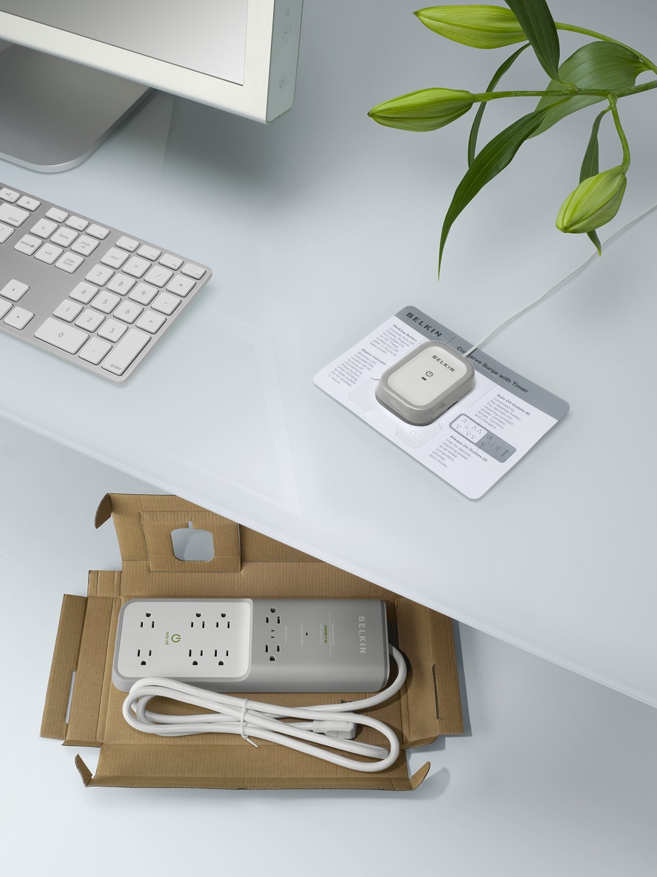 Belkin Protector contra sobretensiones de 6 Salidas con Cable de 6 pies y Temporizador, CNS08-T-06