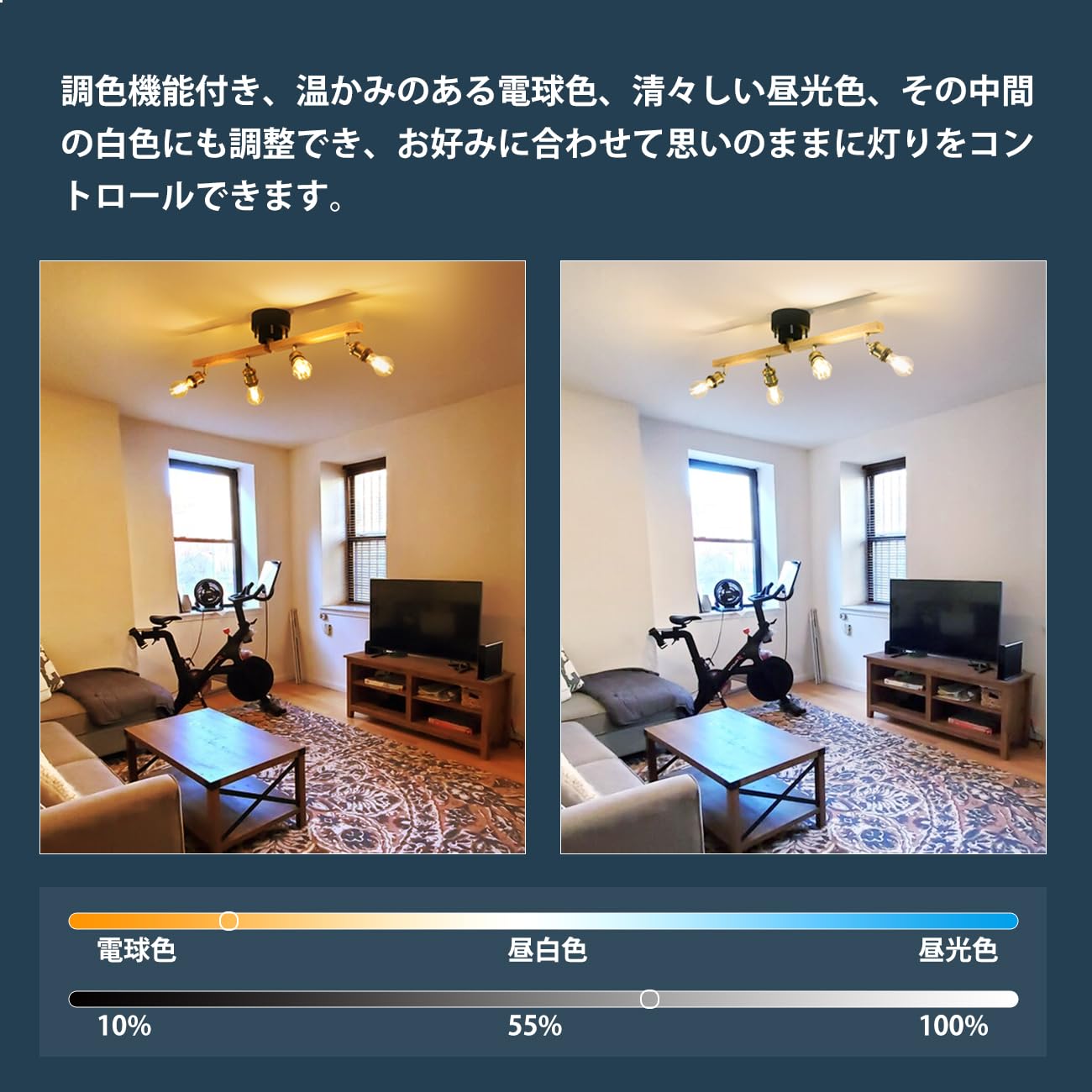 ファニチャー　ライト6台 journal standard Furniture（ジャーナル スタンダード ファニチャー