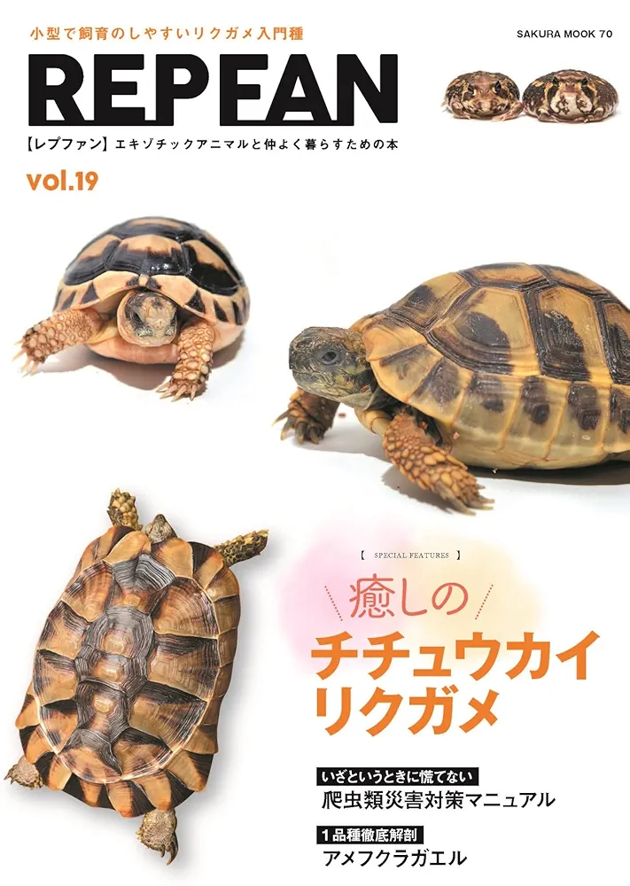 REP FAN レプファン REP FAN rep fan　19冊セット REP FAN レプファン vol.19 (SAKURA MOOK) | 笠倉出版社 |本