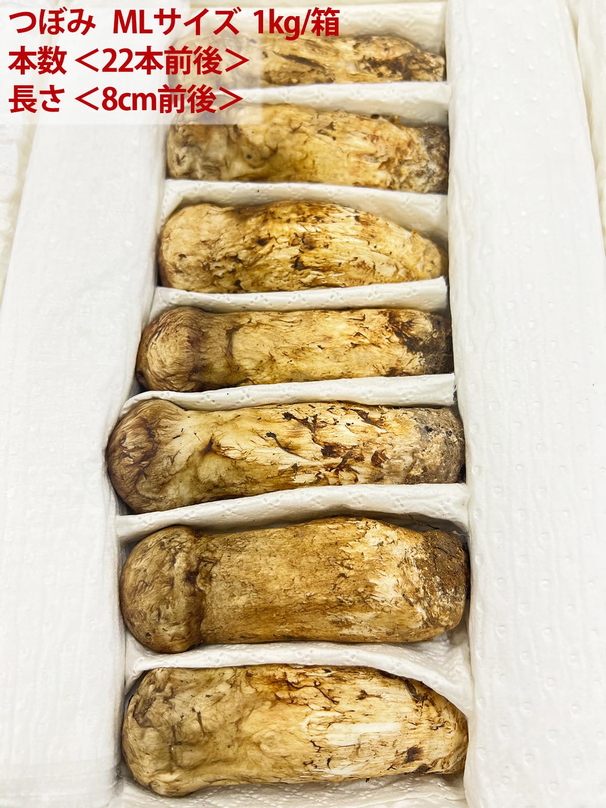 Amazon | 生松茸 つぼみ 約500g ＜大L〜MLサイズ 7〜12本 9cm前後 