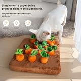Ver la foto 4