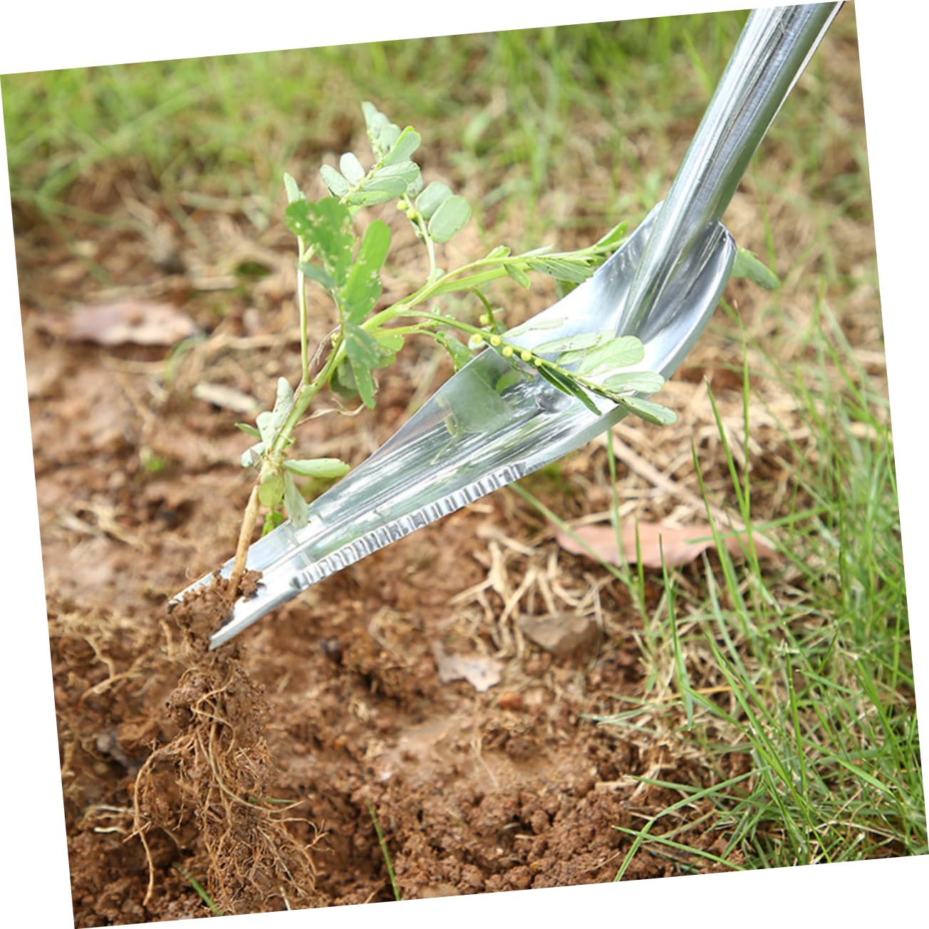 BESTonZON Estirpatore Erbacce Manuale da Giardino in Ferro, Anello per Appendere, per Rimuovere e Arieggiare Terreno