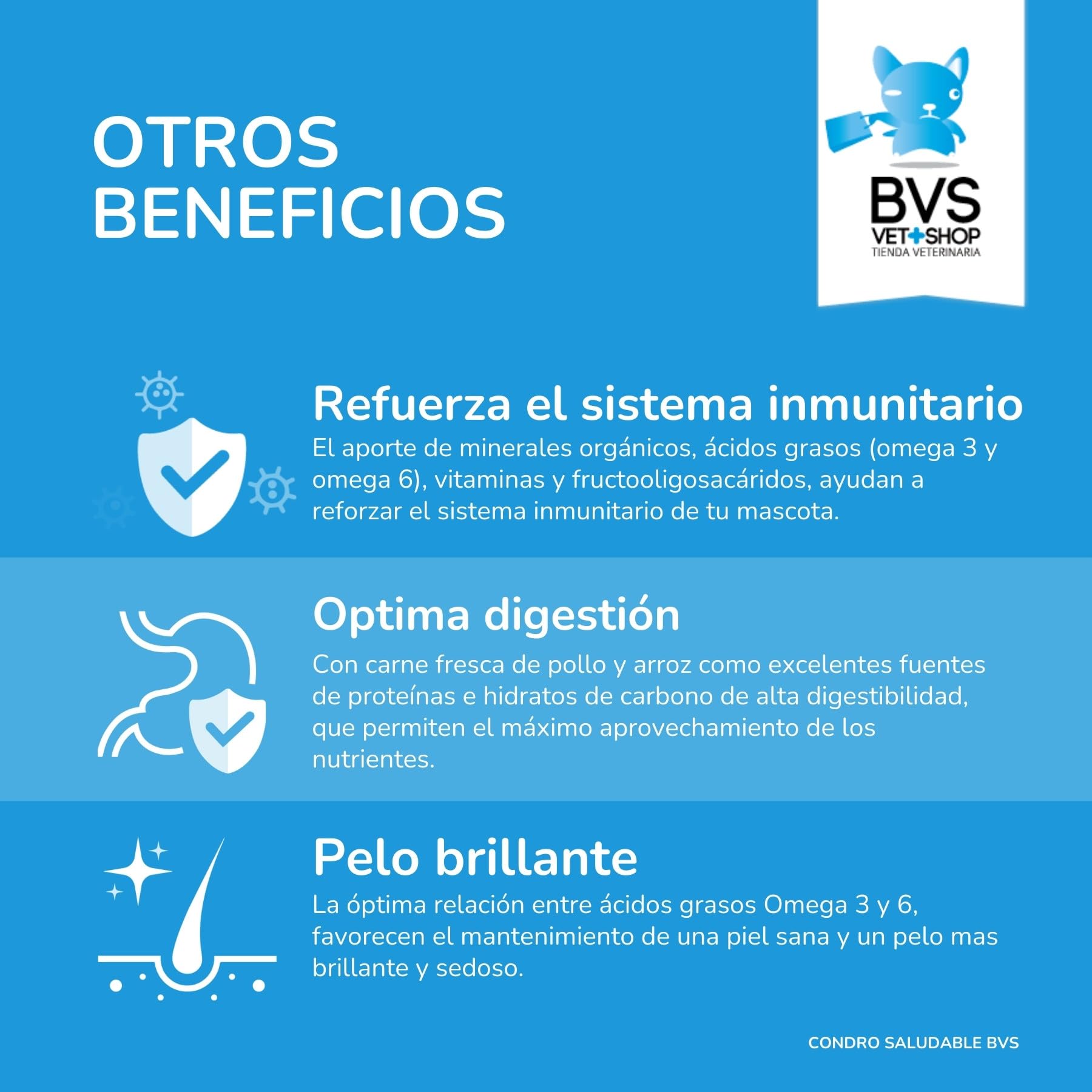 BVS Vet Shop | Condro Saludable Plus para Perros | Musculos vigorosos y Ayuda para Las articulaciones de tu Mascota | Razas Medianas y Grandes | 12 kg