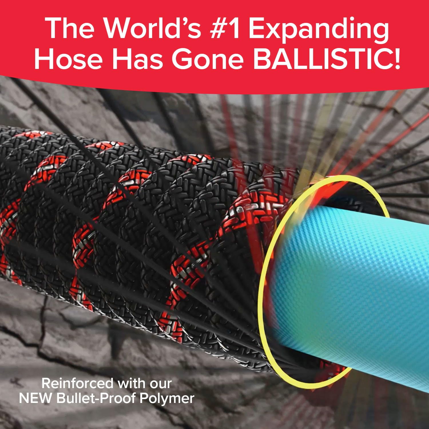 100 FT Expandable Garden Hose B19400