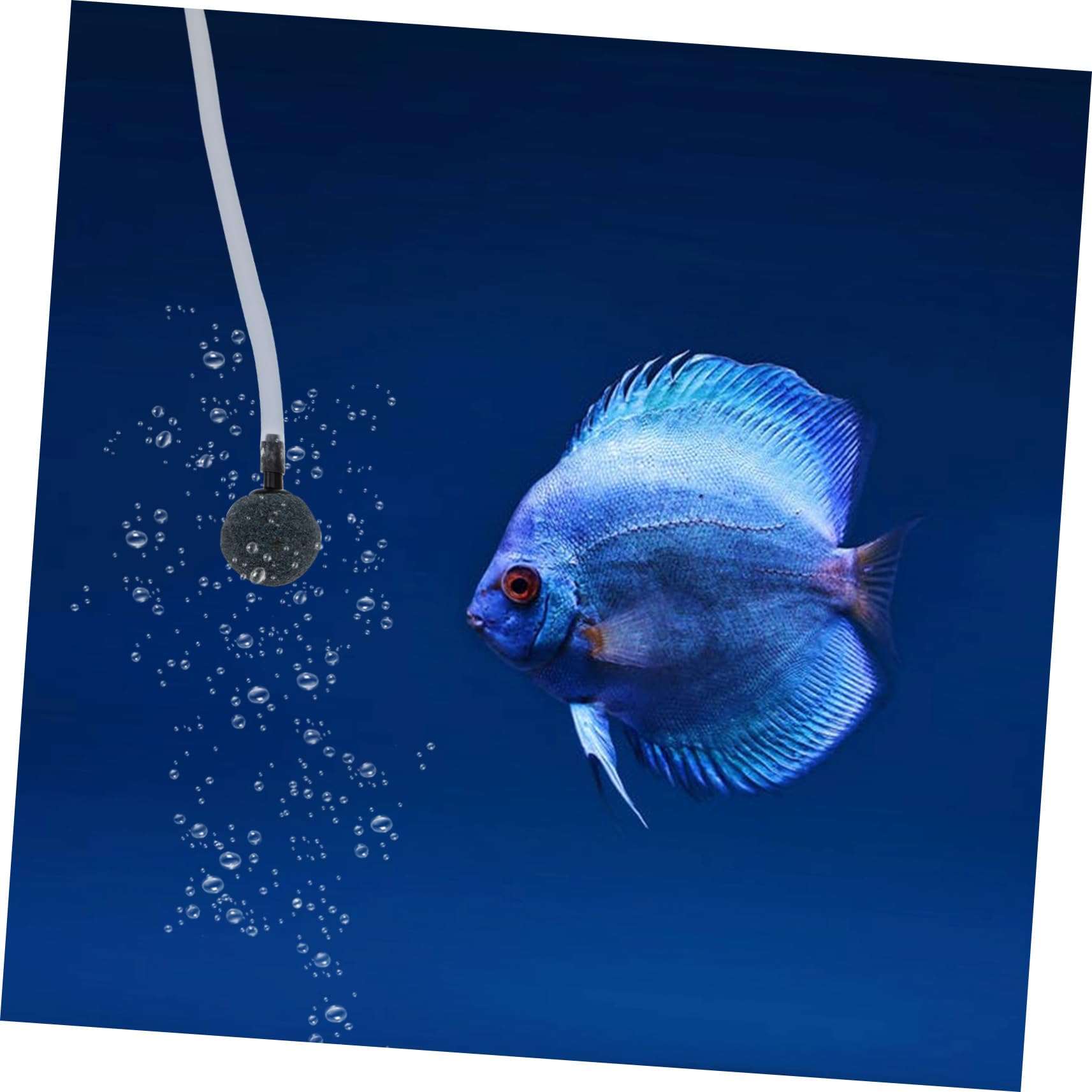 Milisten 2 Sätze Solare Sauerstoffpumpe Pool-Teich Aquarium Fisch tragbar klein sauerstoffpumpe solar solar-teichpumpen -Luftpumpe Oxygenierungspumpe Solarbetriebene Poolpumpe Abs Black