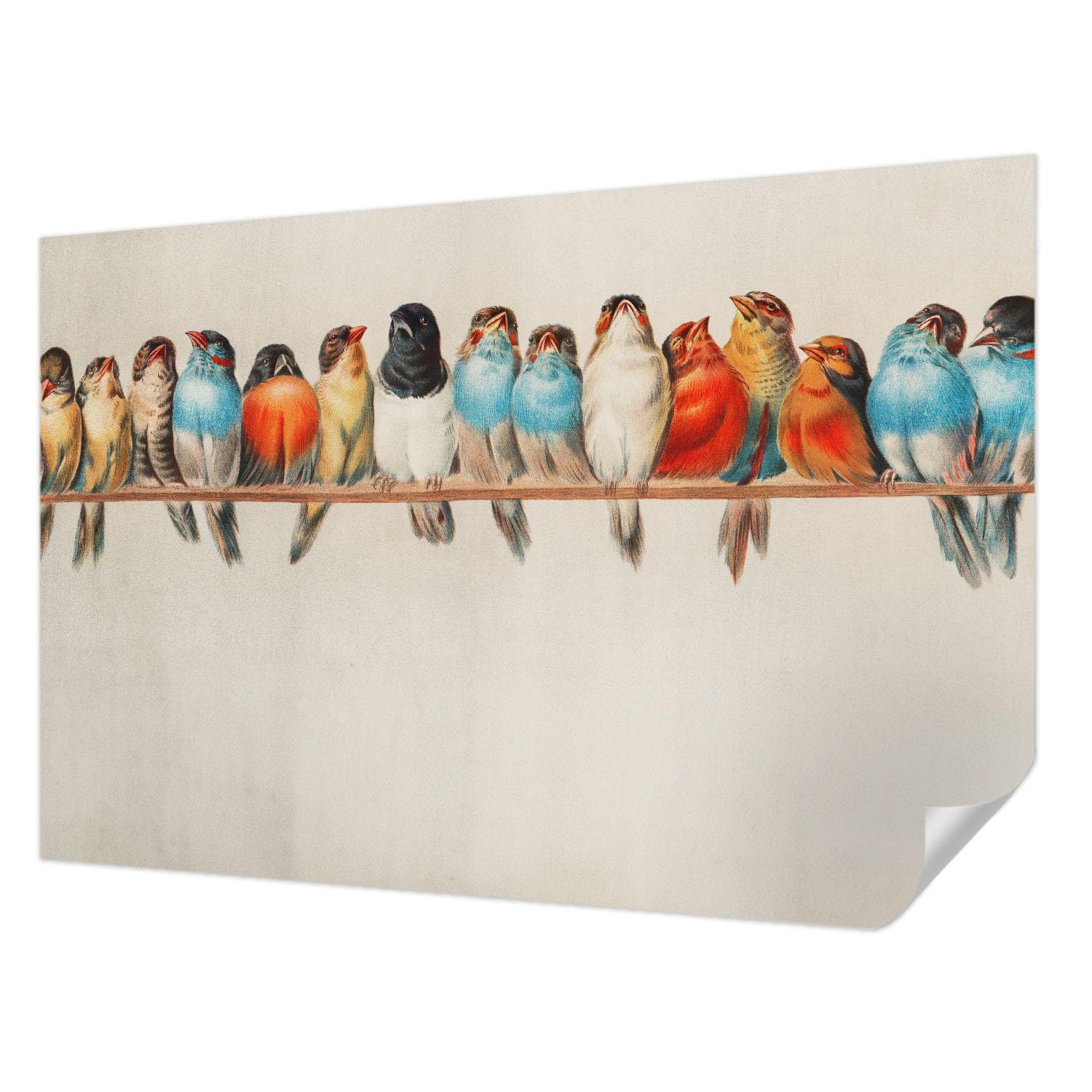 Décor mural adhésif oiseaux pour salon : créez un espace nature moderne