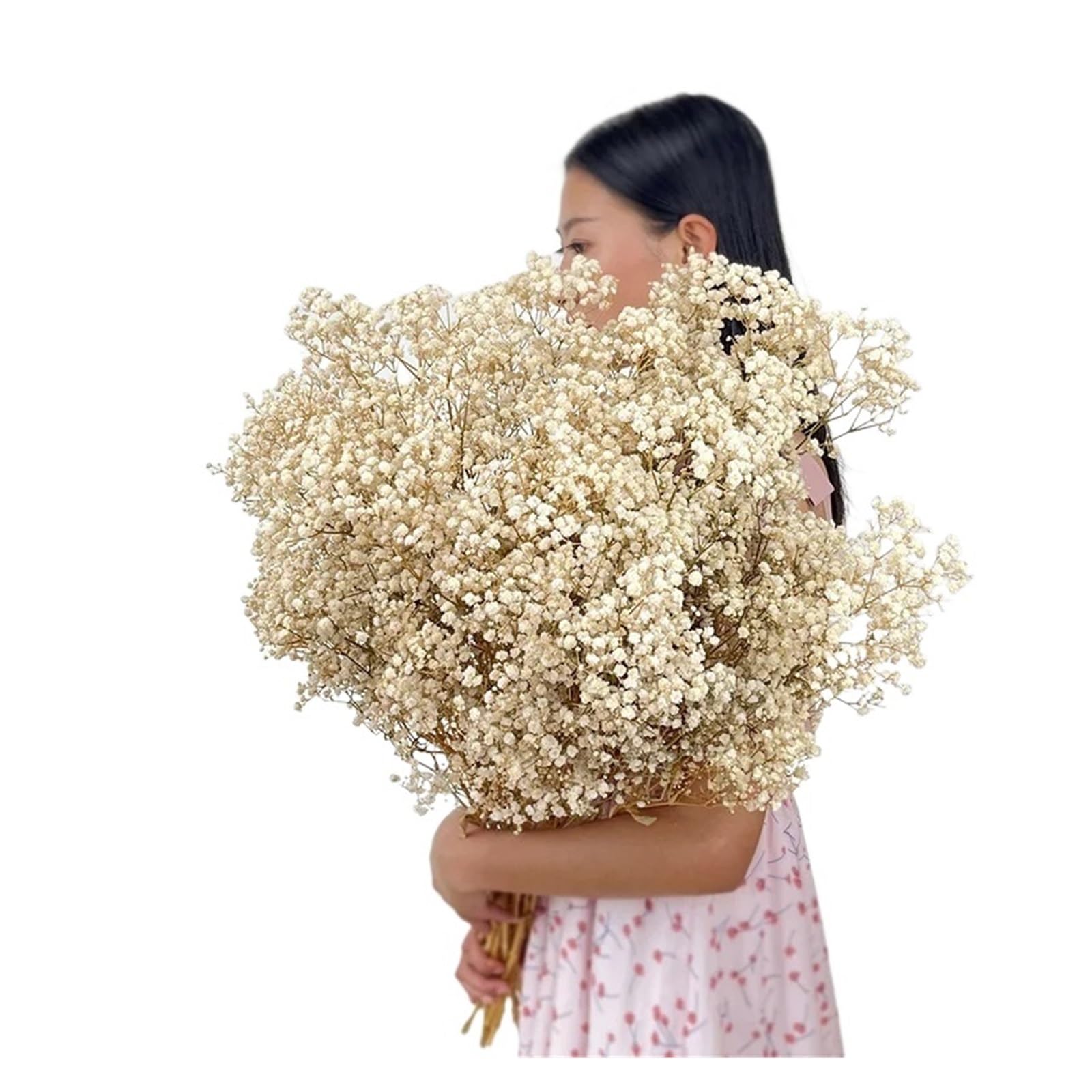 WJIAYAO dried gypsophila flowers Dried Baby Breath Flowers Gypsophila Bouquet Bridal Wedding Decoration Home Decor(Beige,80g)