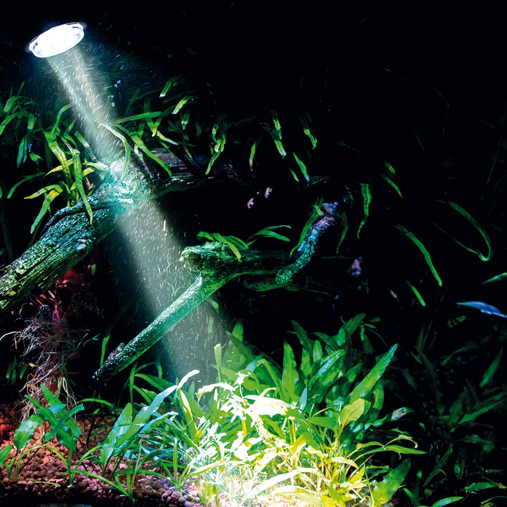 Hobby 00677 Bubble Air Spot « Colour & Moon », LED, avec fonction diffuseur, 1 pièce (1 pièce)