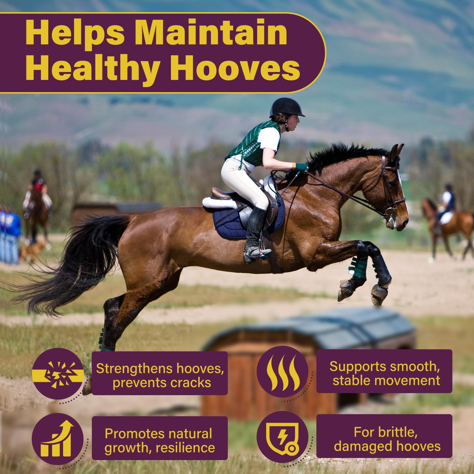 Hoof Supplements for Horses, Horse Supplies, Strengthener with MSM, Horse Health - Supports Strong Hooves and Optimal Growth,Keep Hoof Healthy-150 Chews — Amazon image 4