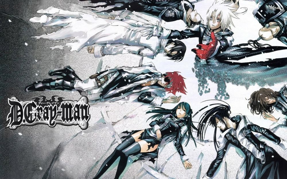 D.Gray-man Canvas Poster Review: Gothic Anime Elegance