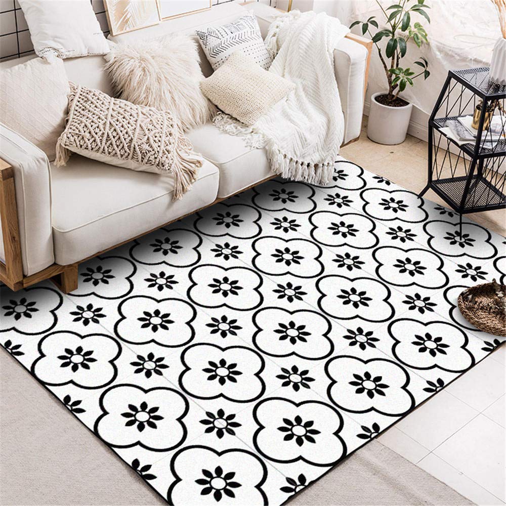 Paillasson lavable et tapis durable noir et blanc pour entrée