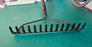 Review Image by Robin M. Robin M.