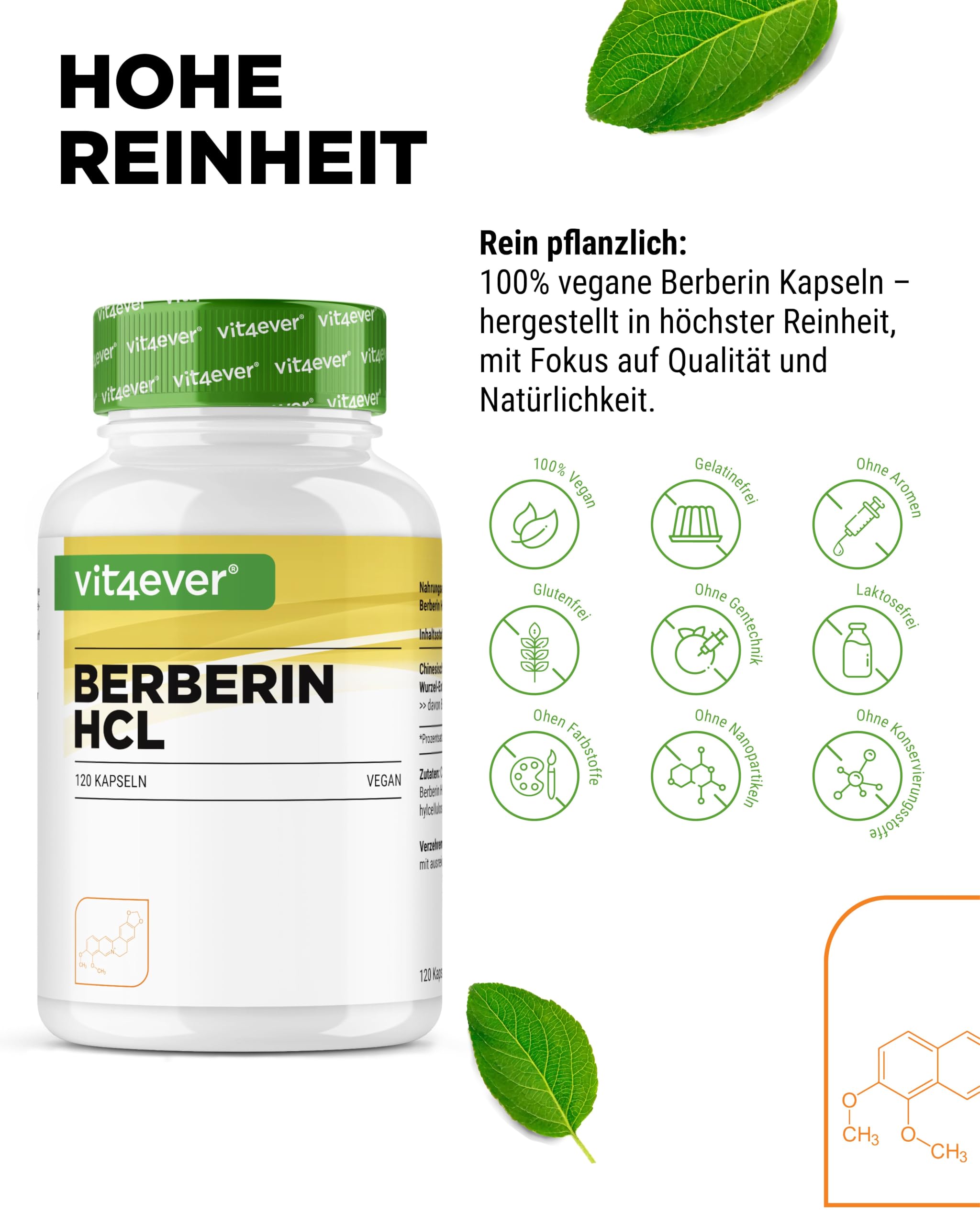 vit4ever Berberin HCL Extrakt - 120 Kapseln - 500 mg - hochdosiert | Aus Goldfadenwurzel, 4-Monatsvorrat, pflanzlich vegan, ohne Zusätze