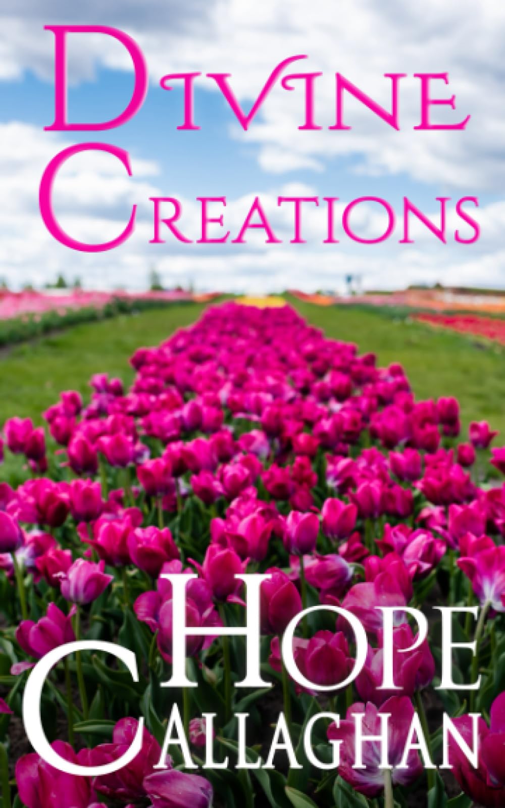 Divine Creations: A Divine Cozy Mystery Novel: 11 (Divine Mystery Series)