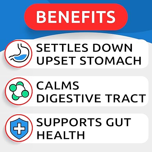 Miniatura 2 de BARK&SPARK Calabaza para perros, suplemento de fibra en polvo de 16.2 onzas y suavizante de heces, trata diarrea, estreñimiento, malestar estomacal,