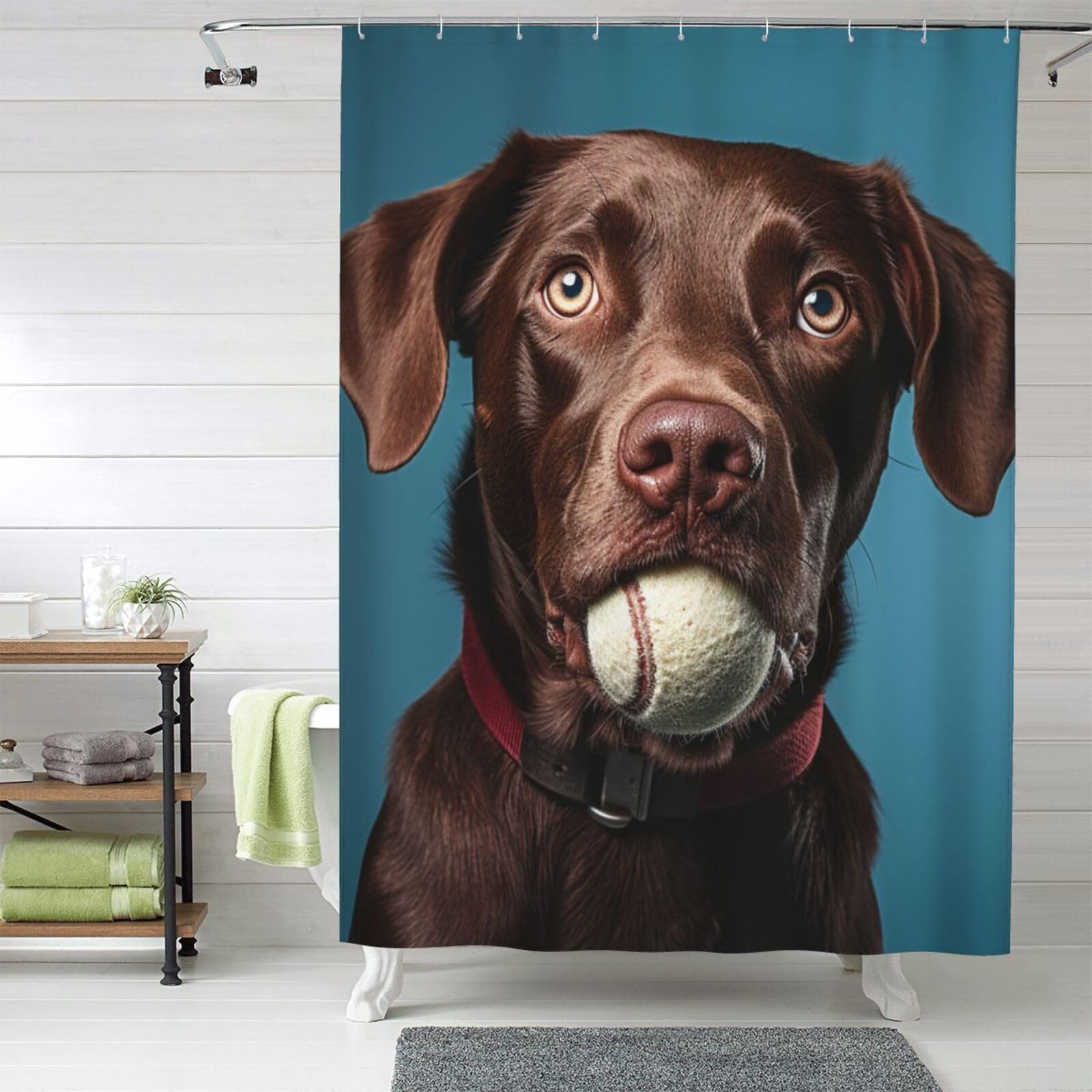 MXZERFKGLA Shower Curtain Set with 12 Hooks Waterproof Fabric Washable Curtain Modern Farmhouse Bath Curtains Funny Dog Shower Curtains for Bathroom Bathtub Decoration 60x72 Inches