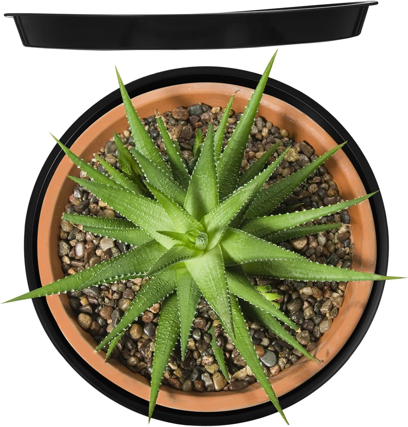 balacoo 10pcs Plant Saucers Sturdy Drip Trays for Indoor and Outdoor Garden Use for Flower Pots and Houseplants Design