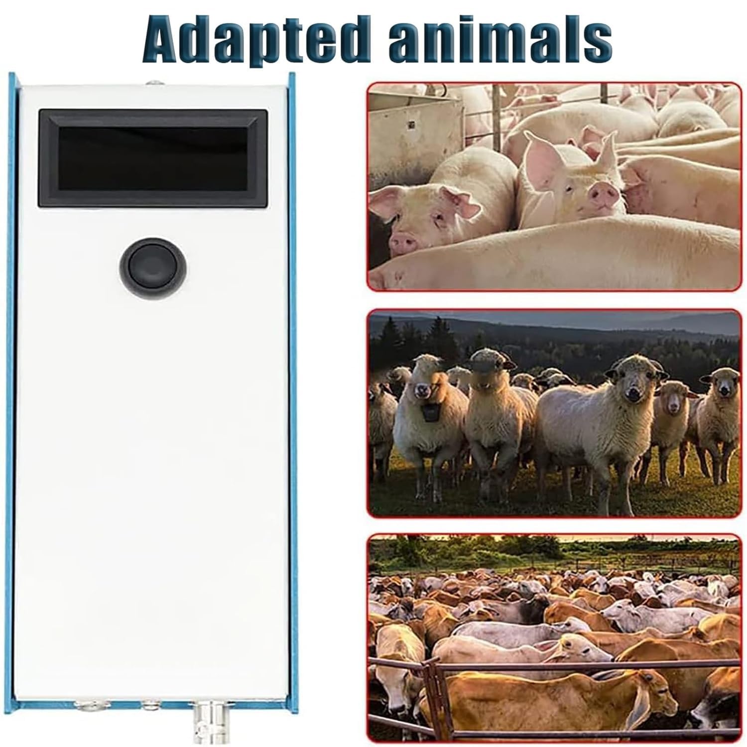 Medidor portátil de grasa dorsal de cerdo, medidor de espesor de grasa dorsal de ganado con 3 luces indicadoras, rango de medición de 4-45 mm, para granja casera
