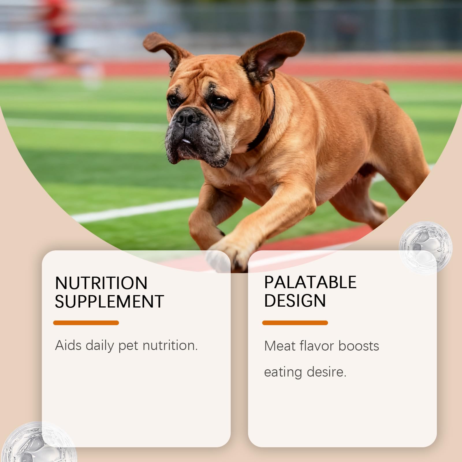 Curcumina per Cani,200g Integratore Alimentare per Cani a Base di Curcuma e Piperina,Supporto per Articolazioni e Mobilità