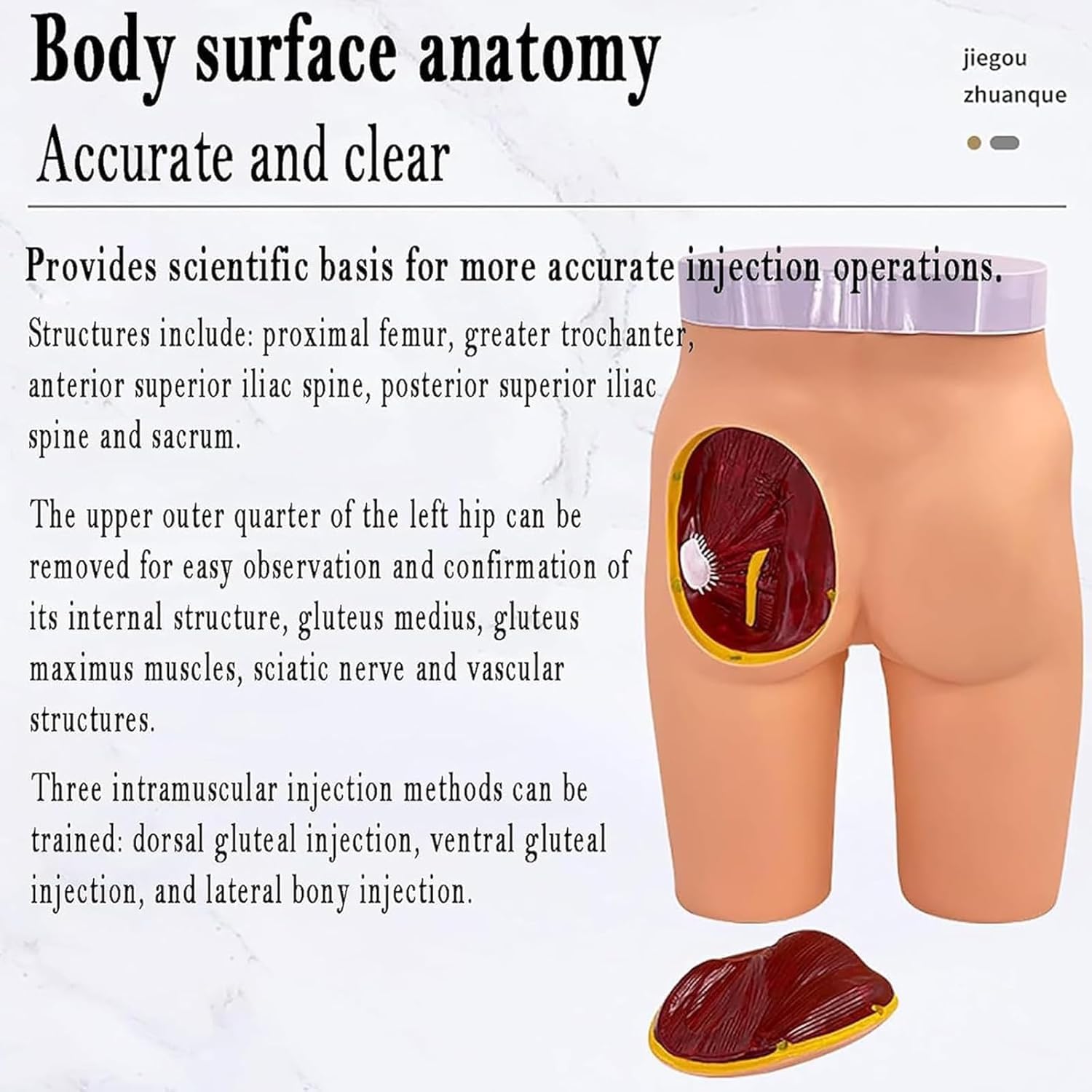Model iniekcji do mięśni pośladkowych i struktury anatomicznej, model do ćwiczeń iniekcji do pośladków, 3 metody treningu iniekcji, możliwość usunięcia 1/4 lewego biodra, do ćwiczeń dla studentów