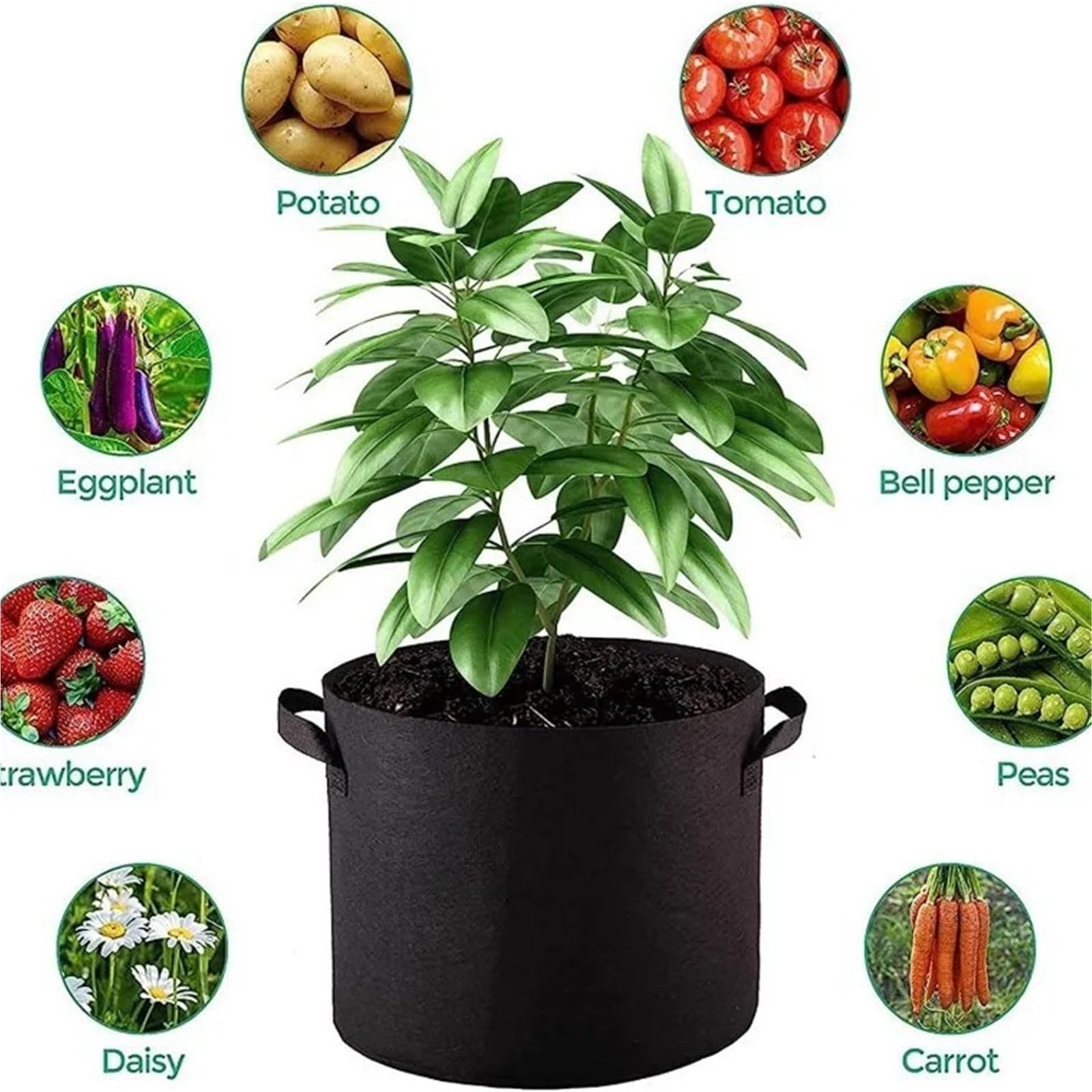 Sac de Culture Plantes 2 pièces, Sac Pliable en Gallon Noir-adapté à la Plantation Fleurs et fraîches pour Plantes