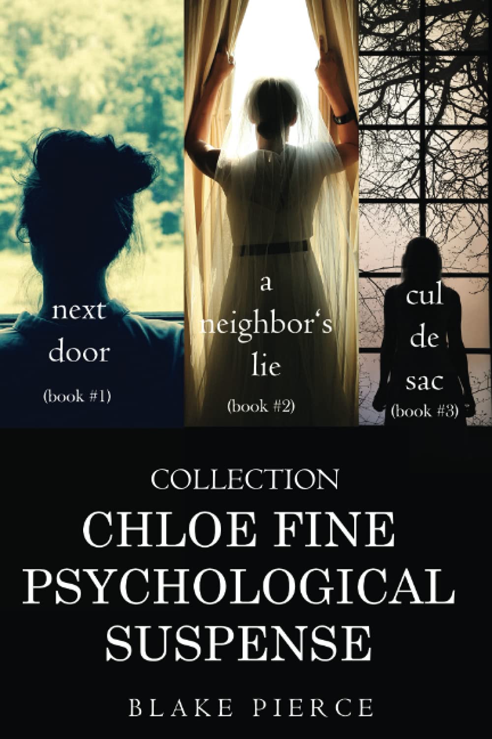 Chloe Fine Psychological Suspense Collection: Next Door (#1), A Neighbor’s Lie (#2), and Cul de Sac (#3)